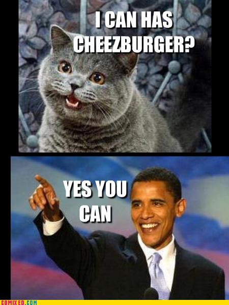 Obrázek obama burger