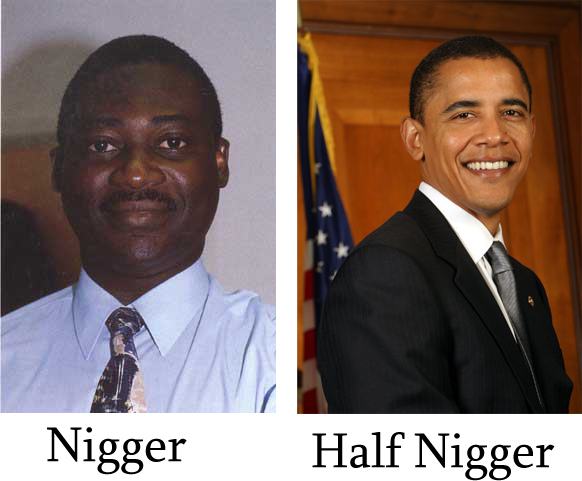 Obrázek obama not a nigger