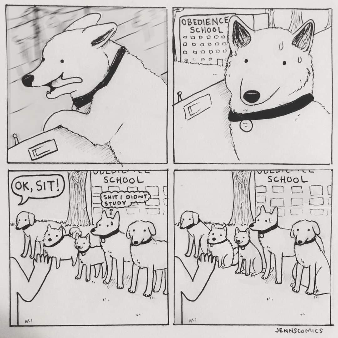 Obrázek obedience 2