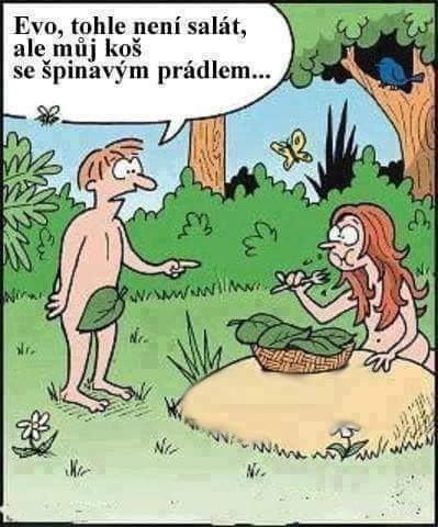 Obrázek ochuceny salat 