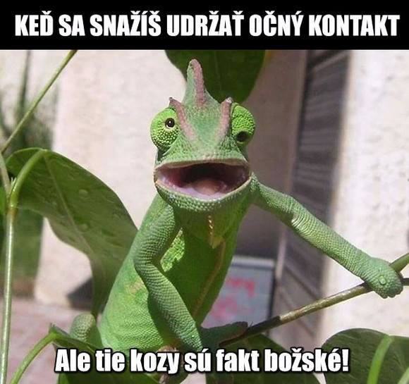 Obrázek ocny kontakt