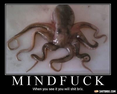 Obrázek octopus