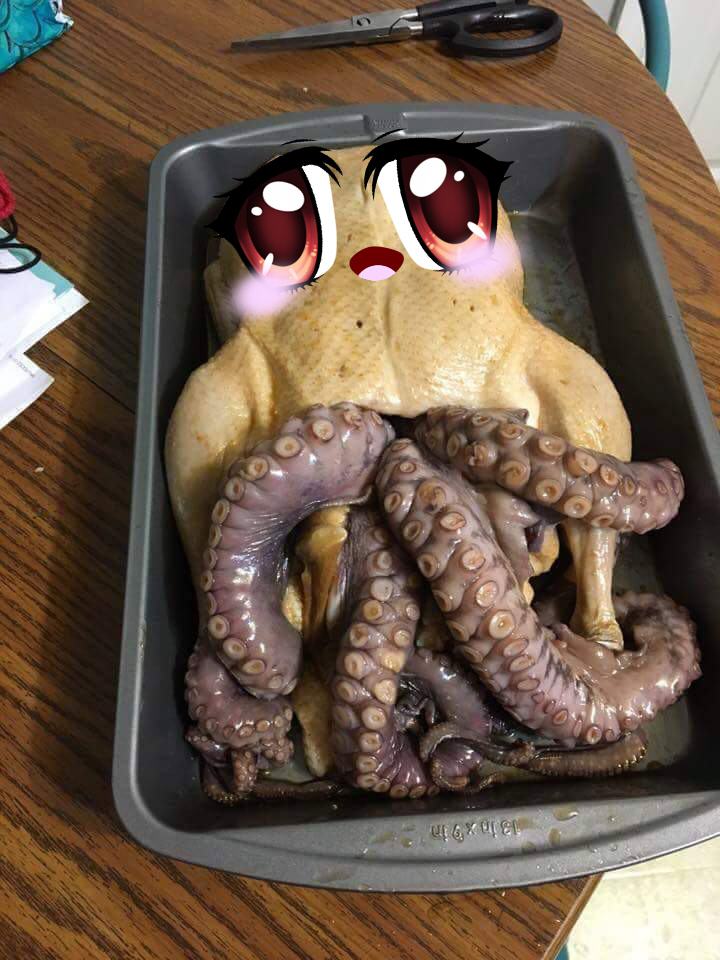 Obrázek octopussy