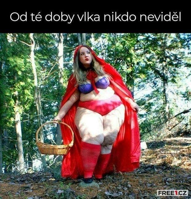 Obrázek od te doby vlka nikdo nevidel