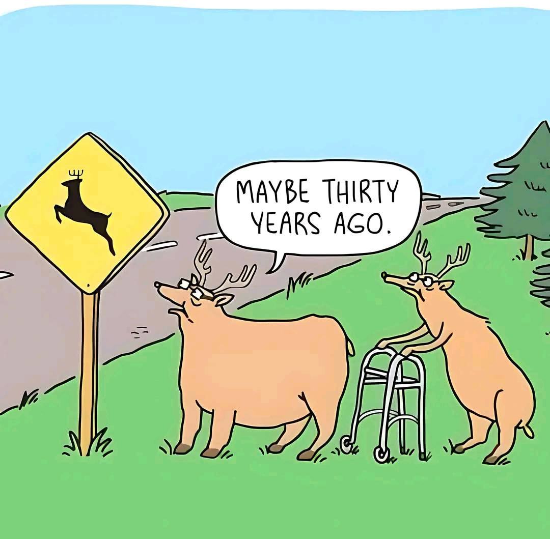 Obrázek oh deer my