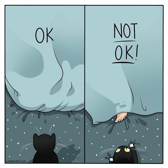 Obrázek ok&nbsp;not&nbsp;ok