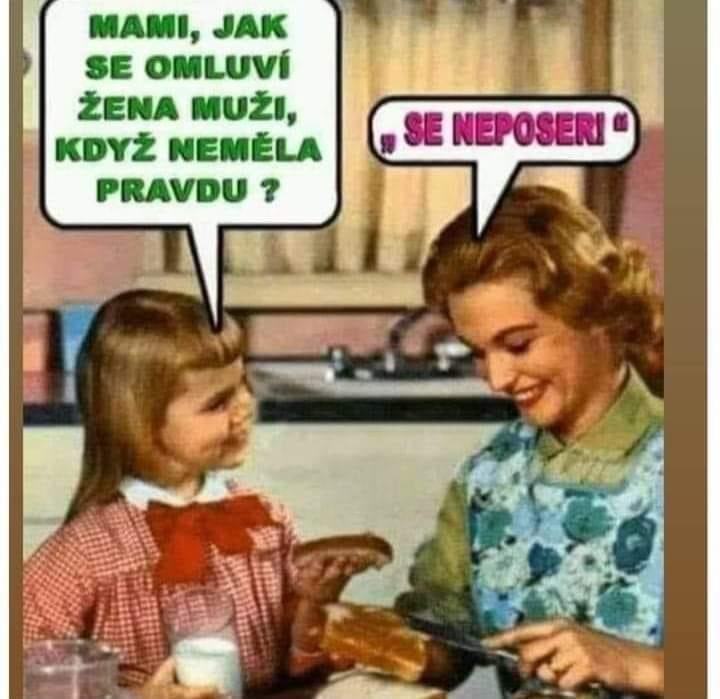 Obrázek omluva manzovi