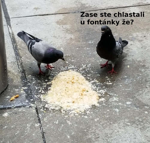 Obrázek omnomnom