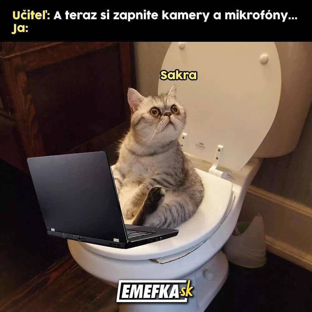 Obrázek online vyuka v realu