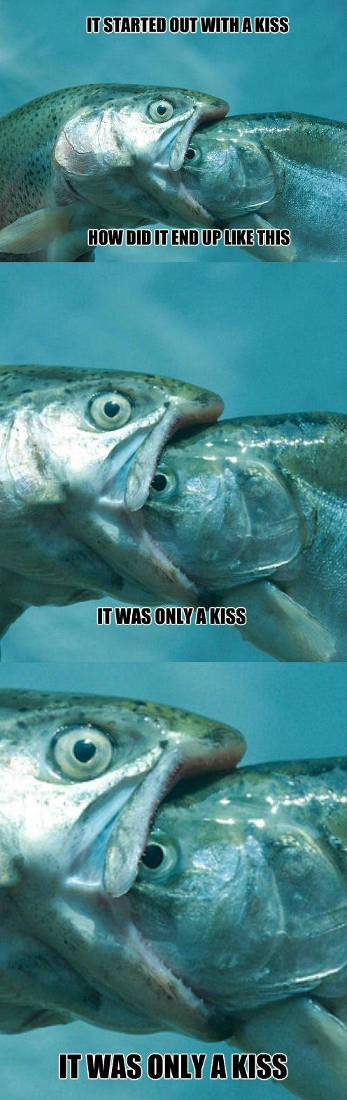 Obrázek only kiss