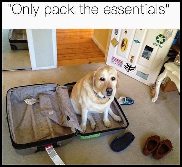 Obrázek only pack. . . 
