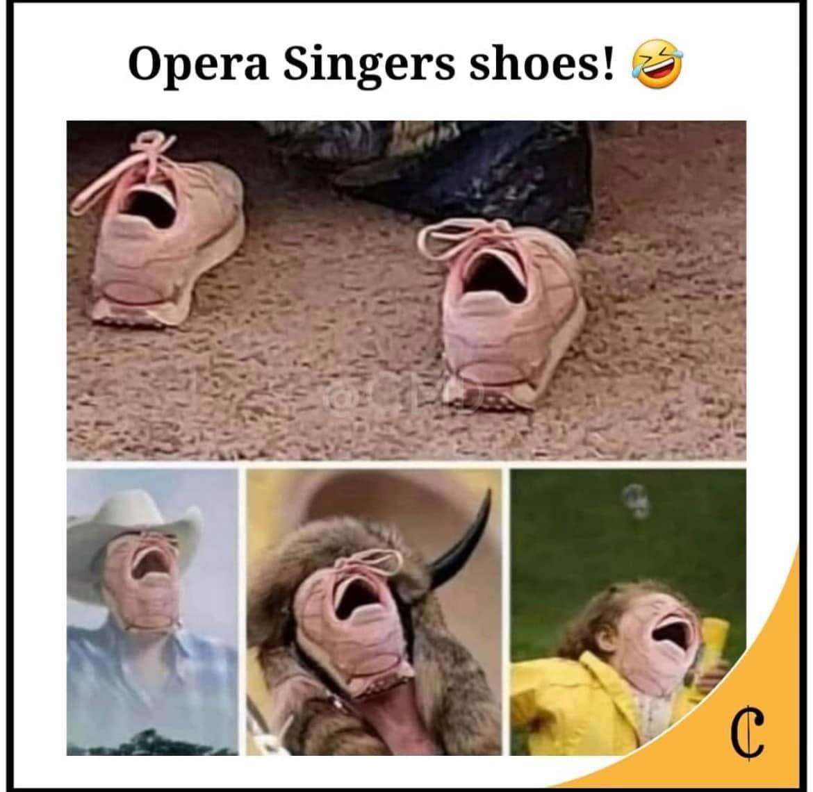 Obrázek opera singers shoes