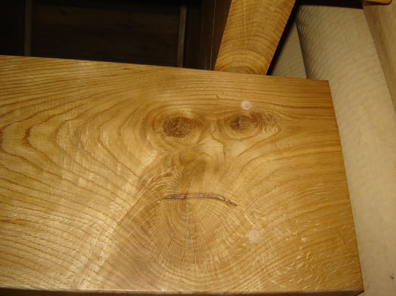 Obrázek opice v dreve