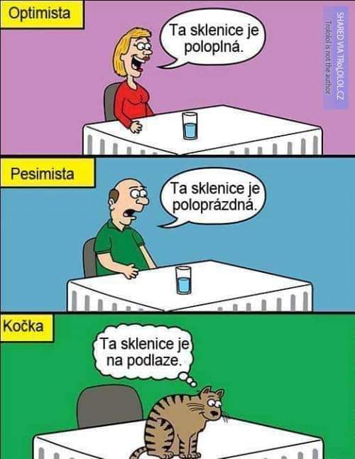 Obrázek optimista pesimista koste
