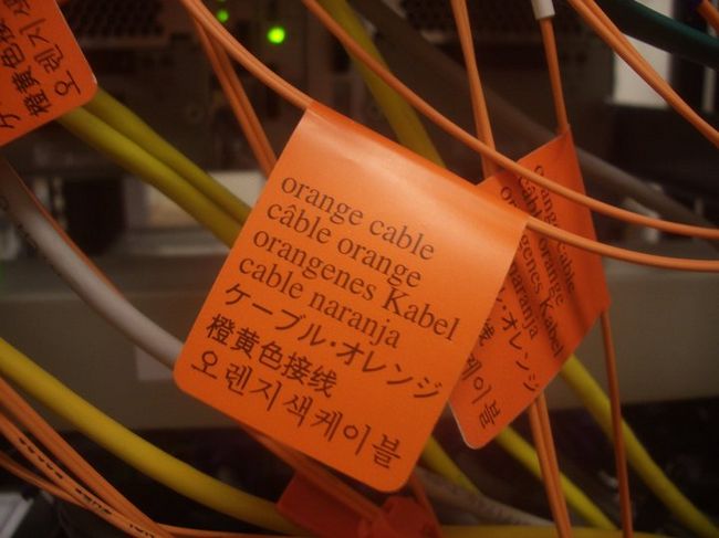 Obrázek orange cable