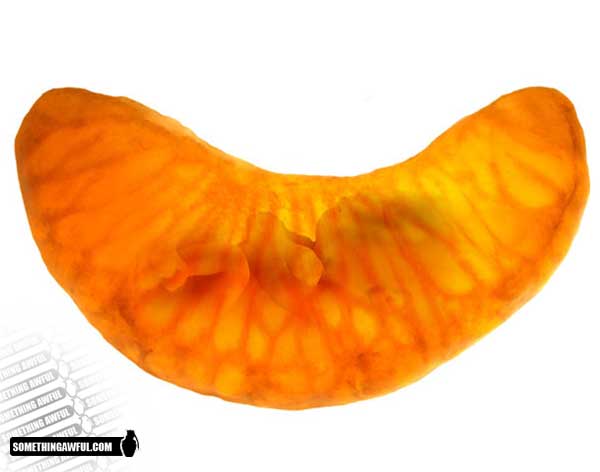 Obrázek orangeembryo