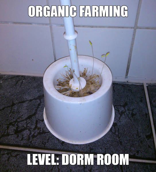 Obrázek organic-farming