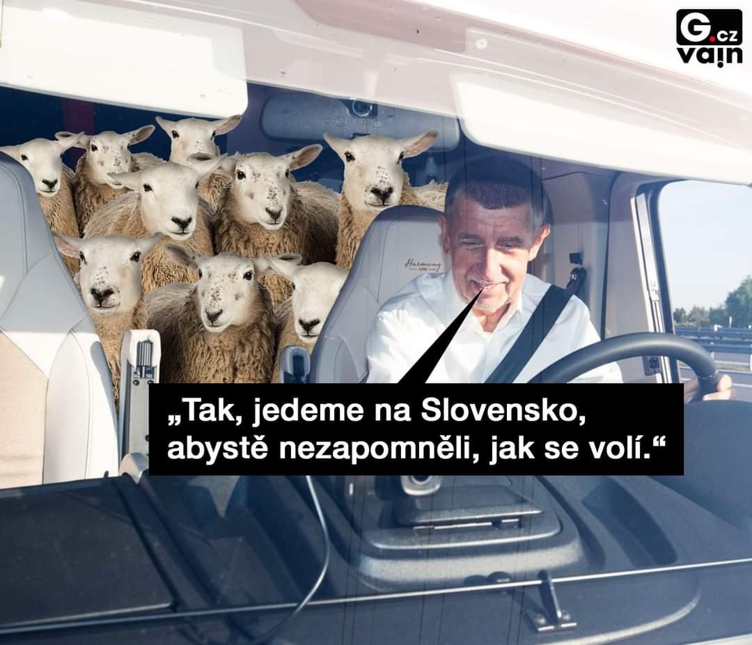 Obrázek ovcak