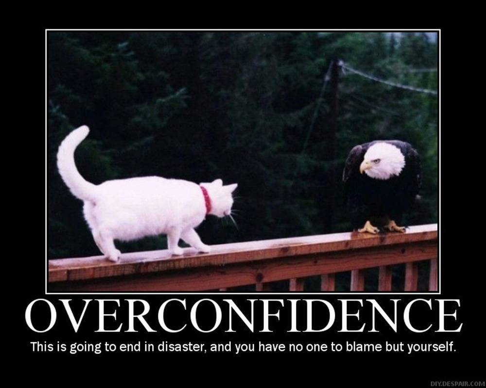 Obrázek overconfidence