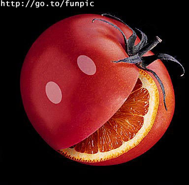 Obrázek ovoce1