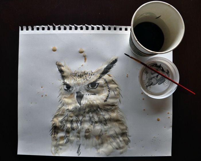 Obrázek owl paint