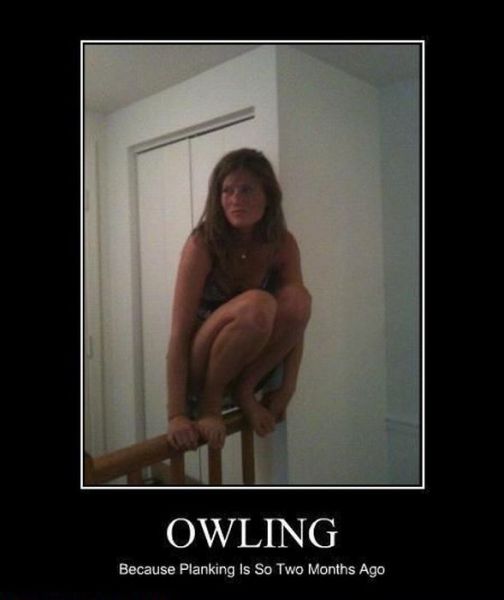 Obrázek owling1