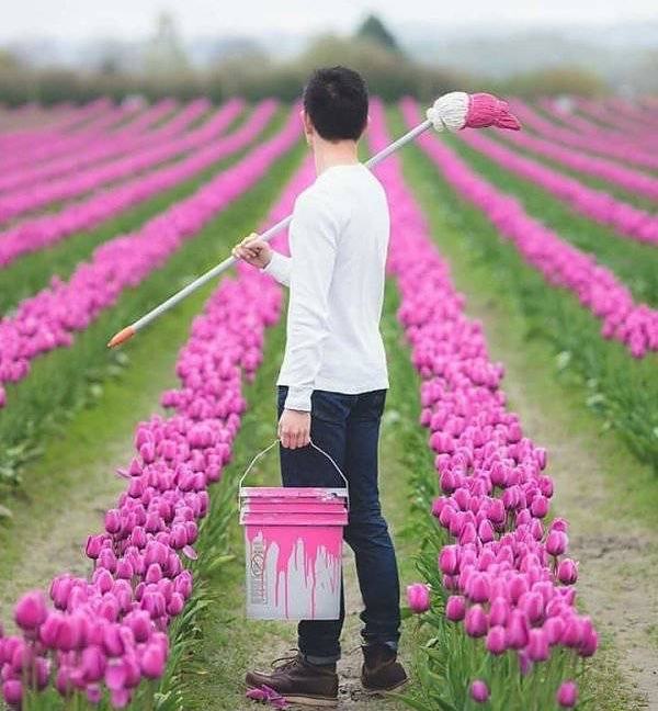 Obrázek painter of flowers