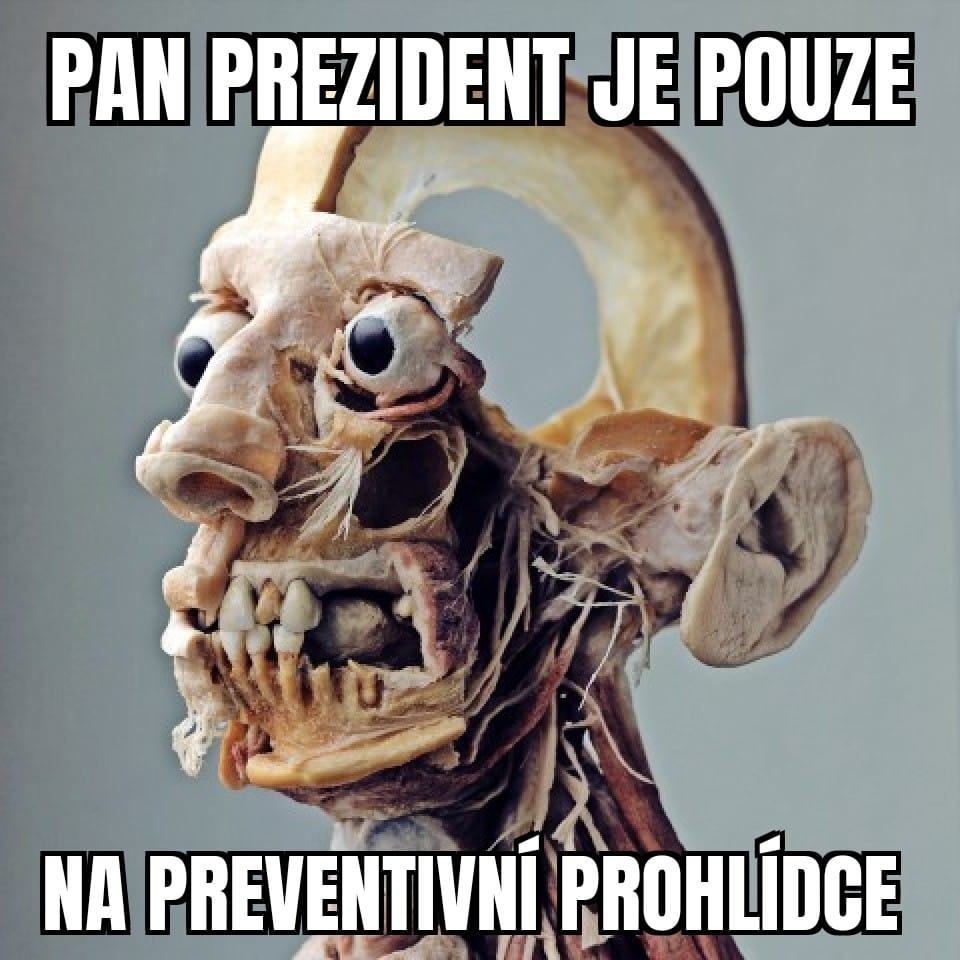 Obrázek pan prasident je jen na preventivni prohlidce