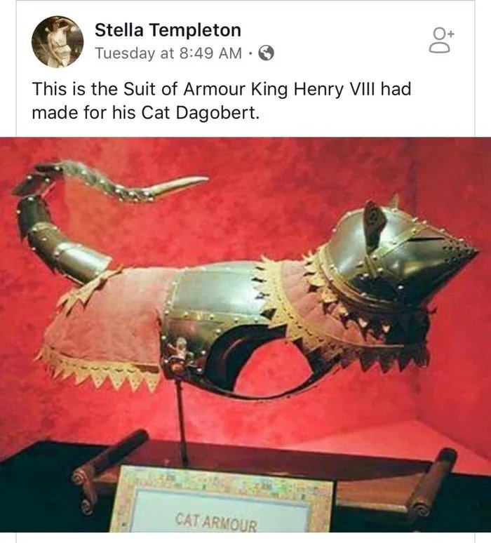 Obrázek panc Noble-Cat-the-Armored-One