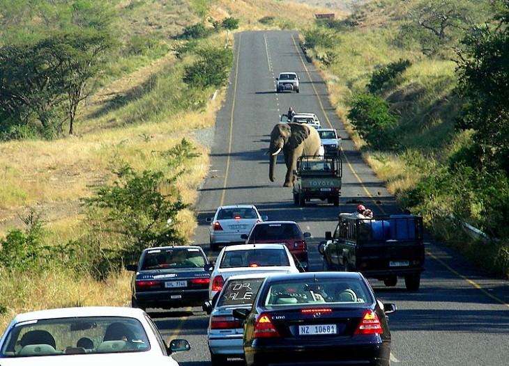 Obrázek panika na highway