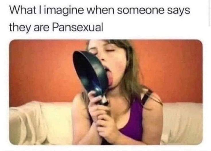 Obrázek panisexual