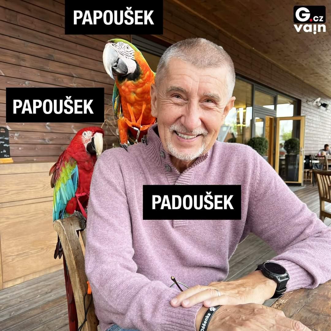 Obrázek papousci 3