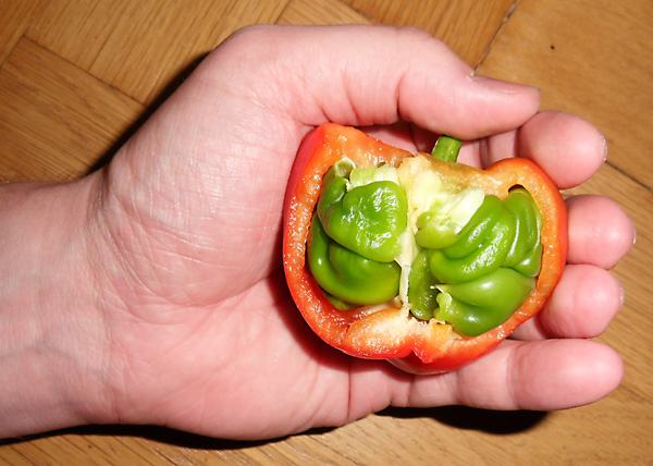 Obrázek paprika deeper