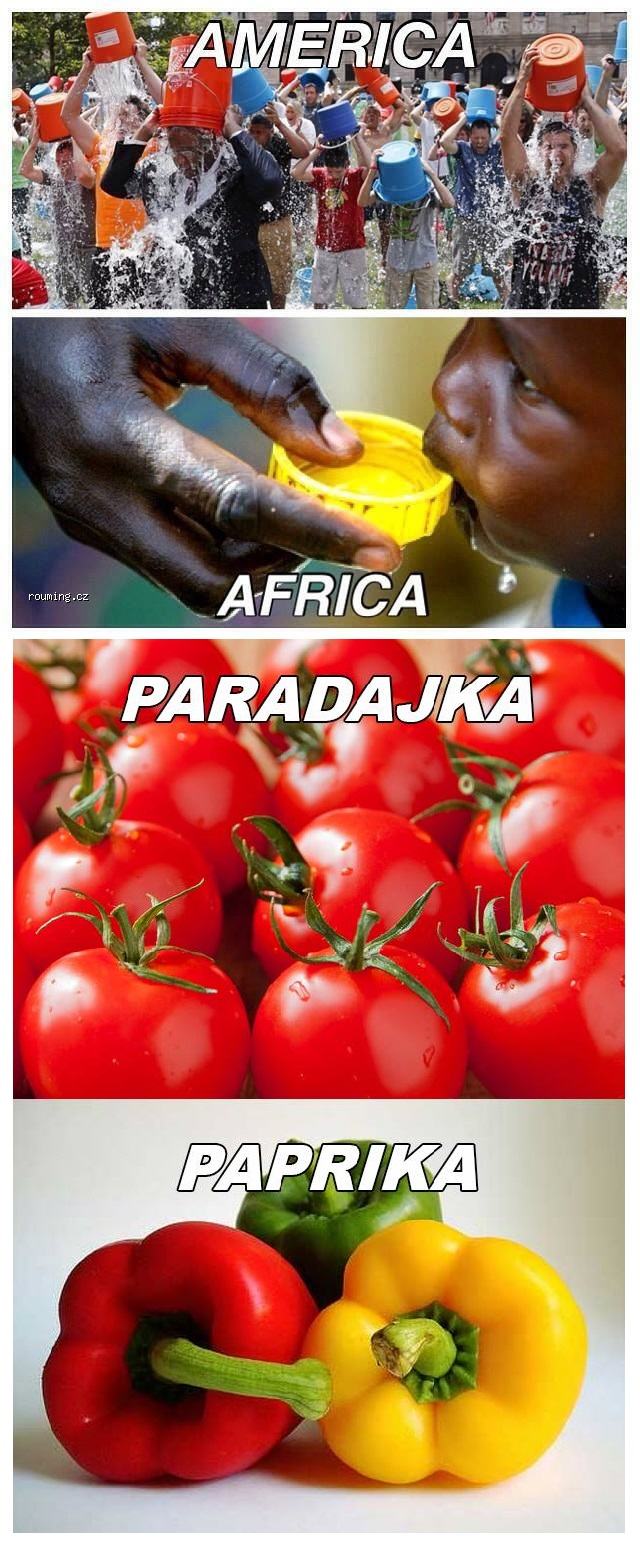 Obrázek paradajka paprika
