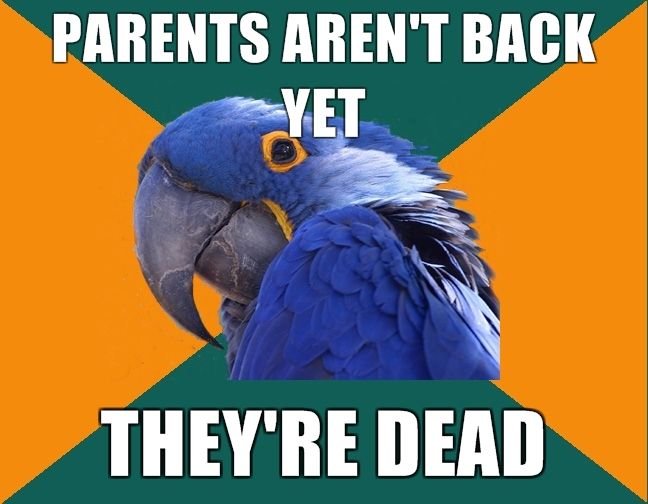 Obrázek paranoid parrot