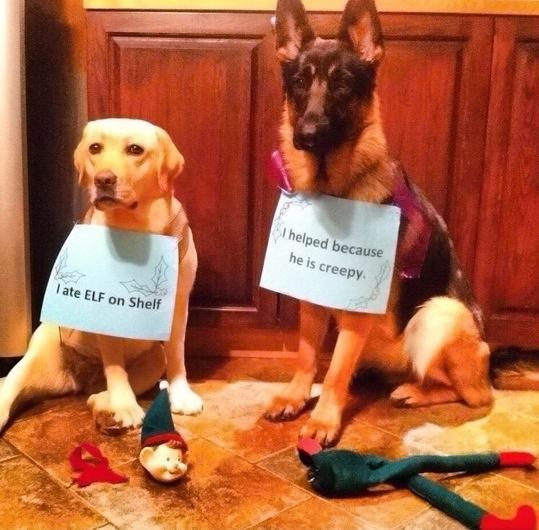 Obrázek partners in crime 540