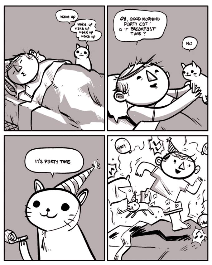 Obrázek party cat