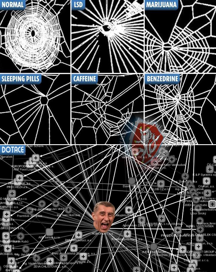 Obrázek pavouci pod vlivem