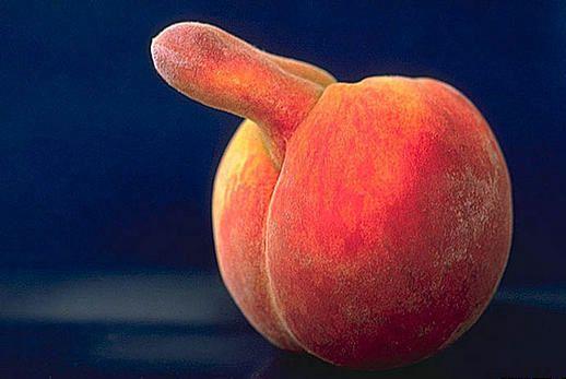 Obrázek peach