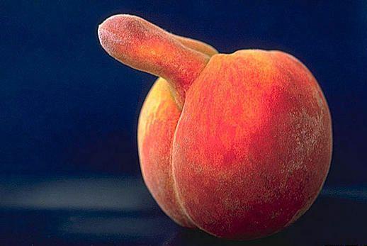 Obrázek peach