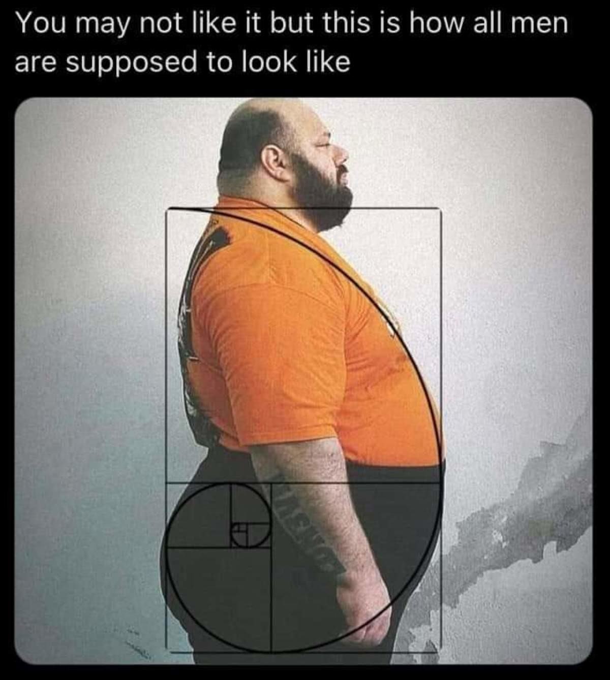 Roumen v Rouming Z bavn A Zaj mav Obr zky Peak Male Form