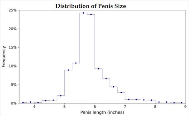 Obrázek penis chart 2