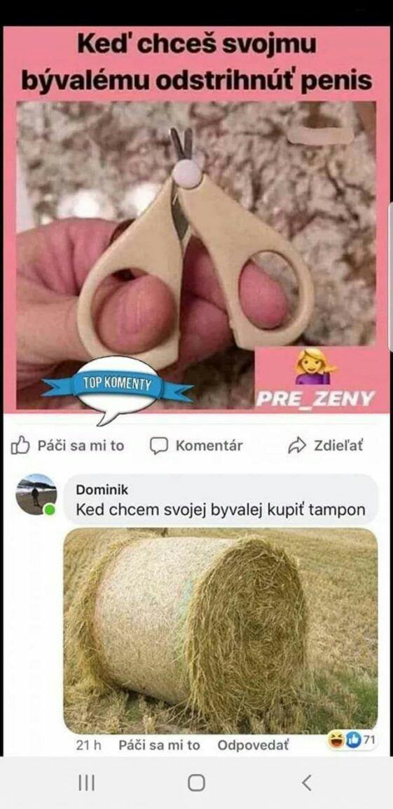 Obrázek penistampon