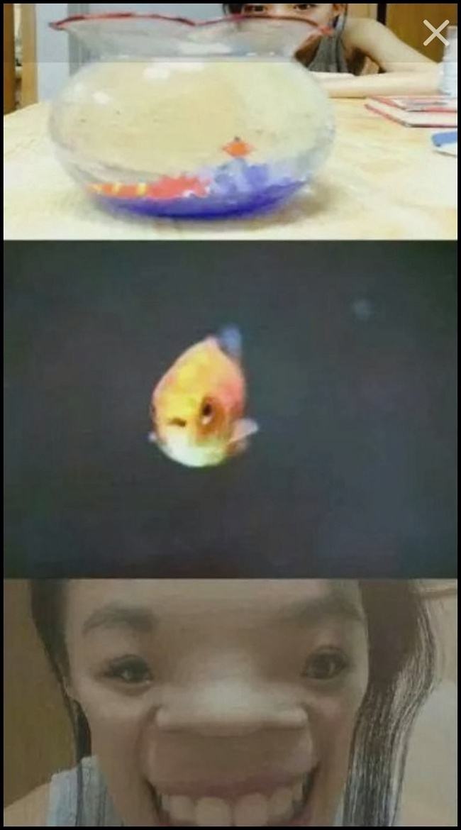 Obrázek people are ugly