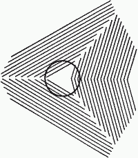Obrázek perfect-circle-visual-illusion