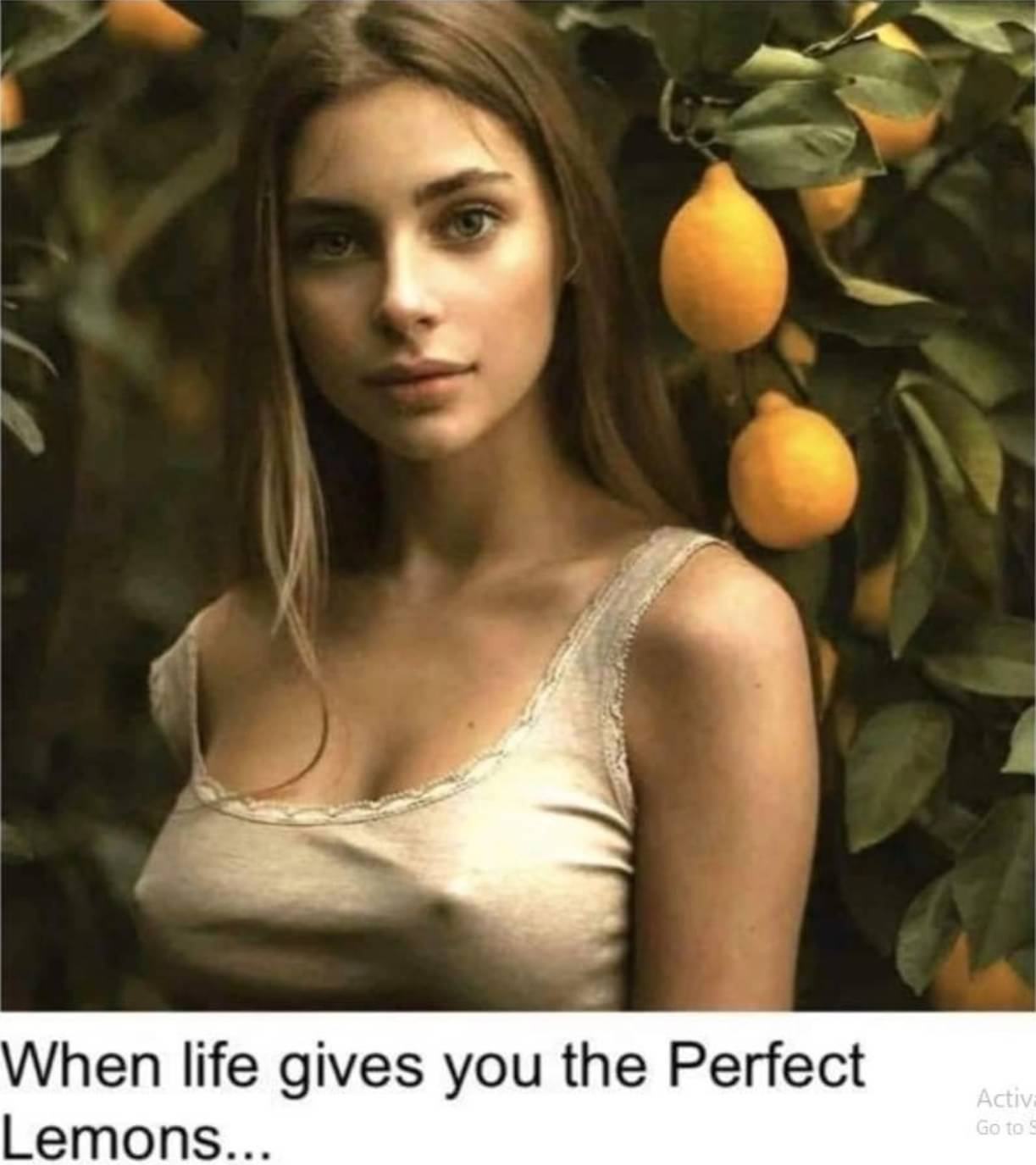 Obrázek perfektlemons