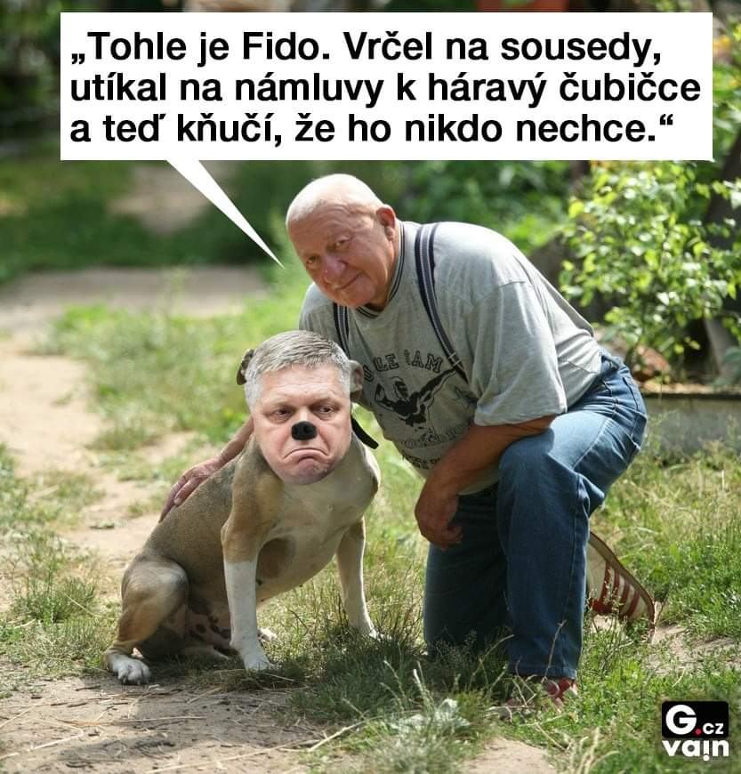 Obrázek pes fido