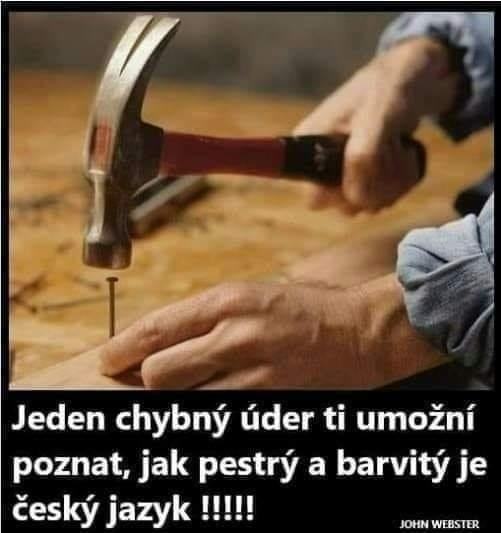 Obrázek pestry a barvity