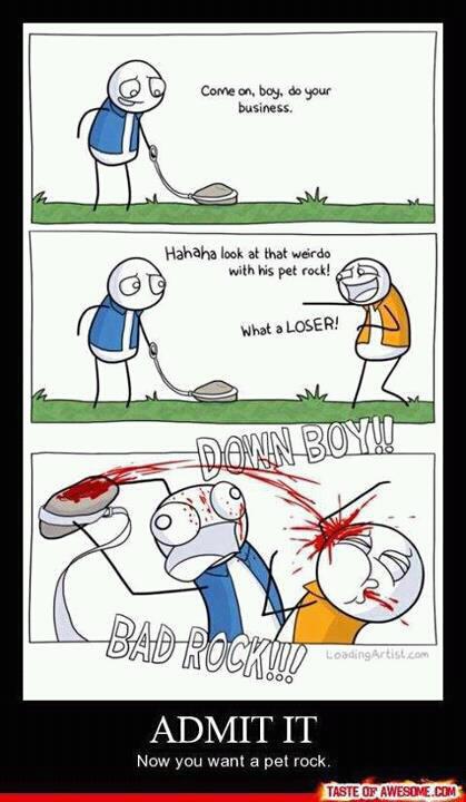 Obrázek pet rock