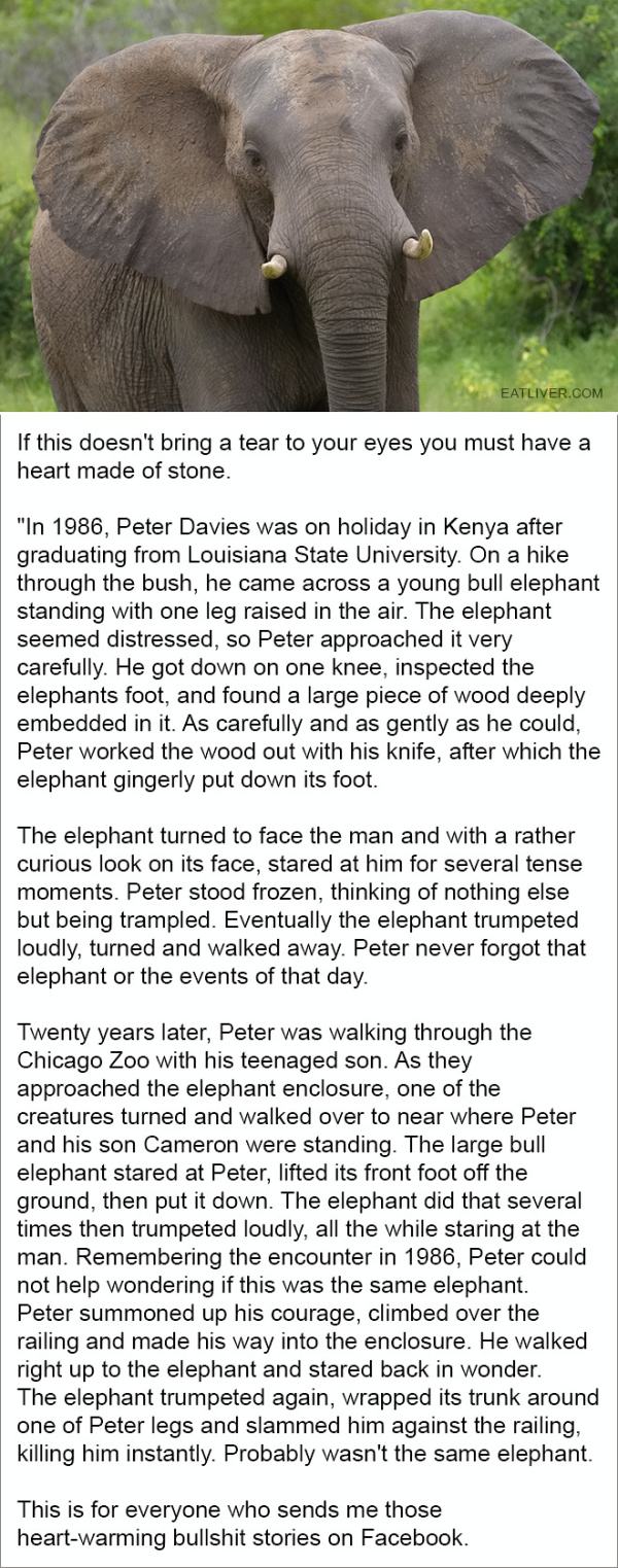 Obrázek peter-and-elephant